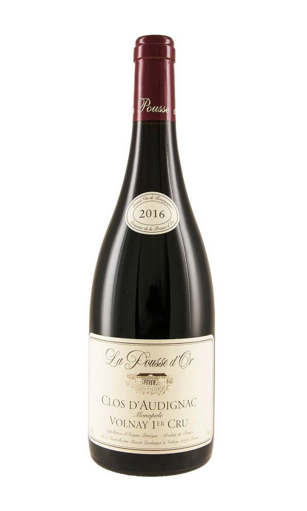 2016 | Domaine de la Pousse d’Or | Clos d’Audignac at CaskCartel.com