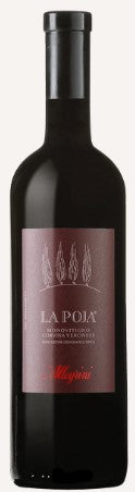 2016 | Allegrini | La Poja Monovitigno Corvina Veronese at CaskCartel.com