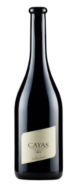 2020 | Jean-Rene Germanier | Syrah du Valais Cayas Reserve at CaskCartel.com