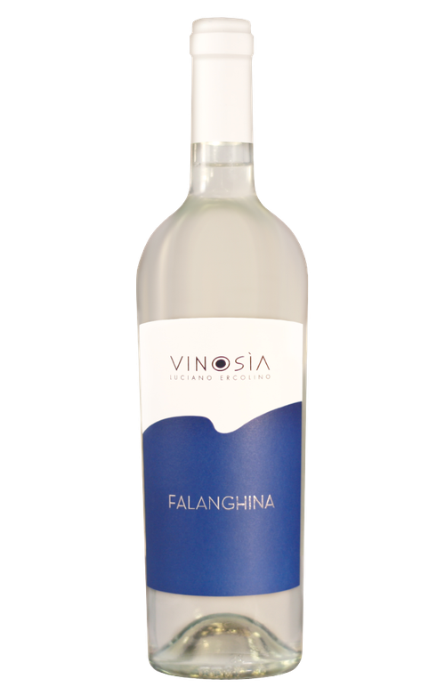 Vinosia | Falanghina Beneventano - NV at CaskCartel.com