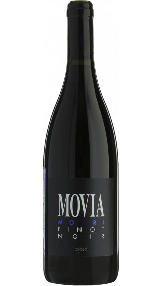 2013 | Movia | Modri Pinot Noir at CaskCartel.com