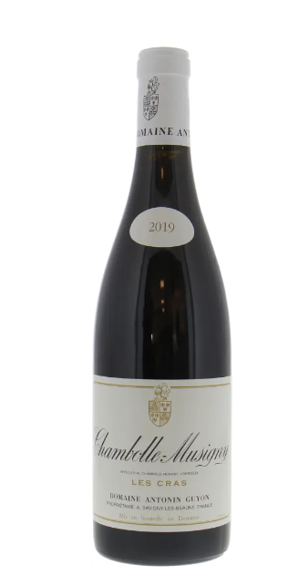 2019 | Domaine Antonin Guyon | Chambolle Musigny Les Cras at CaskCartel.com