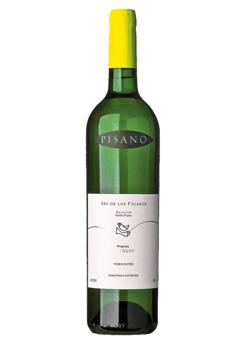 Pisano Torrontes Rio de Los Pajaros Wine at CaskCartel.com