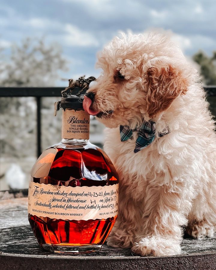 Blanton's Original Single Barrel Bourbon Whiskey 700ml 4