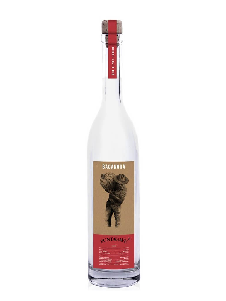 Puntagave Rustico Bacanora Mezcal - CaskCartel.com