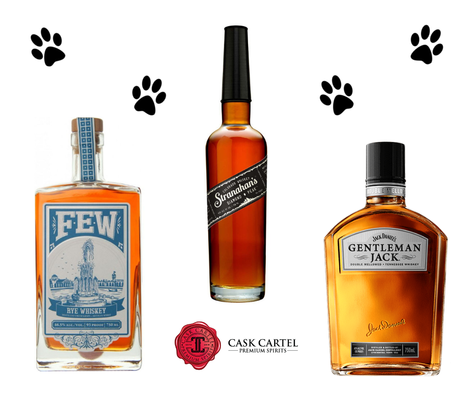 The Dog Days of Summer - Canine Themed Drinks to Beat the Heat