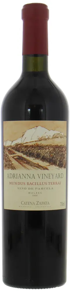 2020 | Catena Zapata | Adrianna Vineyard Mundus Bacillus Terrae at CaskCartel.com