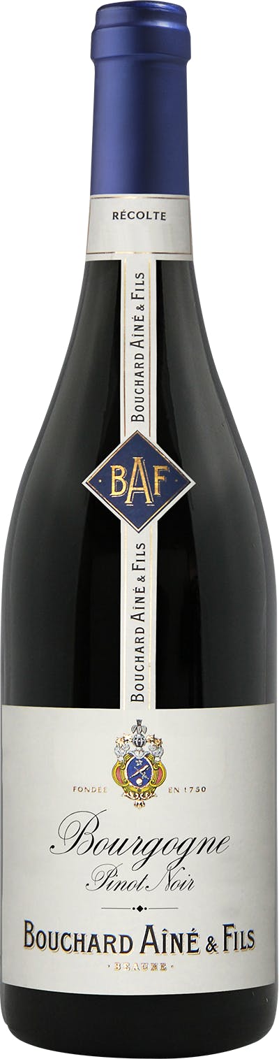 Bouchard Aîné & Fils | Bourgogne Pinot Noir - NV at CaskCartel.com