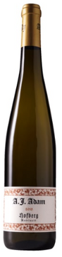 2018 | Weingut A.J. Adam | Dhroner Hofberg Riesling Kabinett at CaskCartel.com