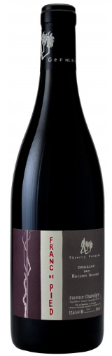 2019 | Domaine des Roches Neuves | Saumur-Champigny Franc de Pied at CaskCartel.com