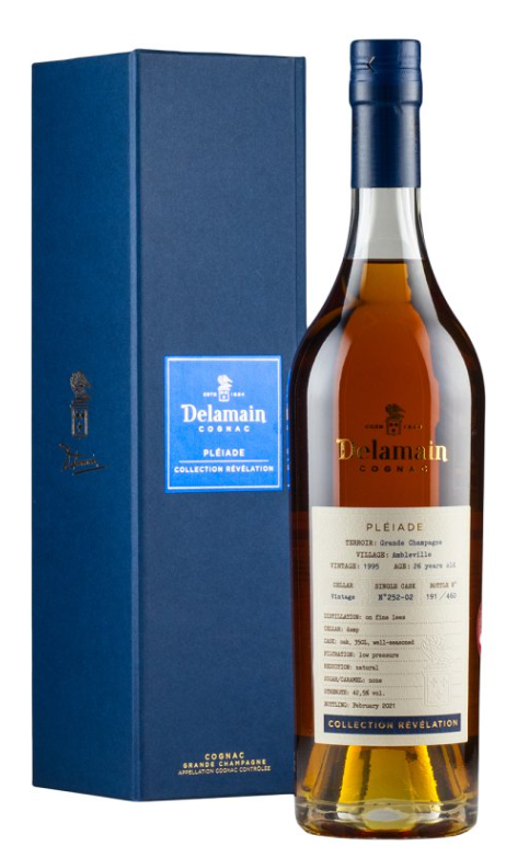 Delamain Pleiade Revelation Millesime Ambleville 1995 | 700ML at CaskCartel.com