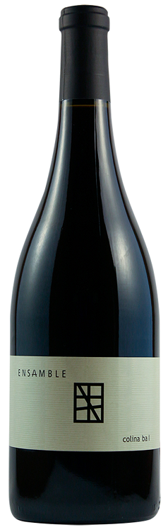 2019 | Paralelo Wines | Ensamble Colina Ba 1 at CaskCartel.com