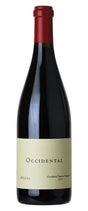 2020 | Occidental | Occidental Station Vineyard Pinot Noir at CaskCartel.com