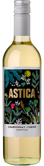 Trapiche | Astica Chardonnay - NV at CaskCartel.com
