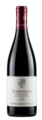 2021 | Domaine Hudelot-Baillet | Bourgogne Pinot Noir at CaskCartel.com