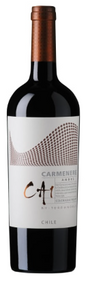 2018 | Terra Noble | CA 1 Andes Carmenere at CaskCartel.com
