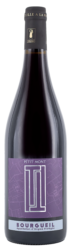 2017 | Thomas Pichet | Domaine du Petit Bondieu Bourgueil Le Petit Mont at CaskCartel.com