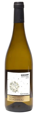  2020 | Michel Delhommeau | Muscadet Sevre-et-Maine Sur Lie Cuvee Saint Vincent at CaskCartel.com
