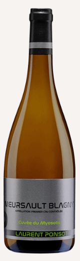 2017 | Laurent Ponsot | Meursault Blagny Cuvee du Myosotis at CaskCartel.com