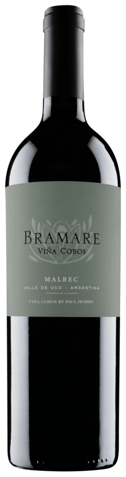 2019 | Vina Cobos | Bramare Uco Valley Malbec at CaskCartel.com
