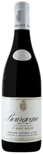 2015 | Domaine Guyon | Bourgogne Pinot Noir at CaskCartel.com