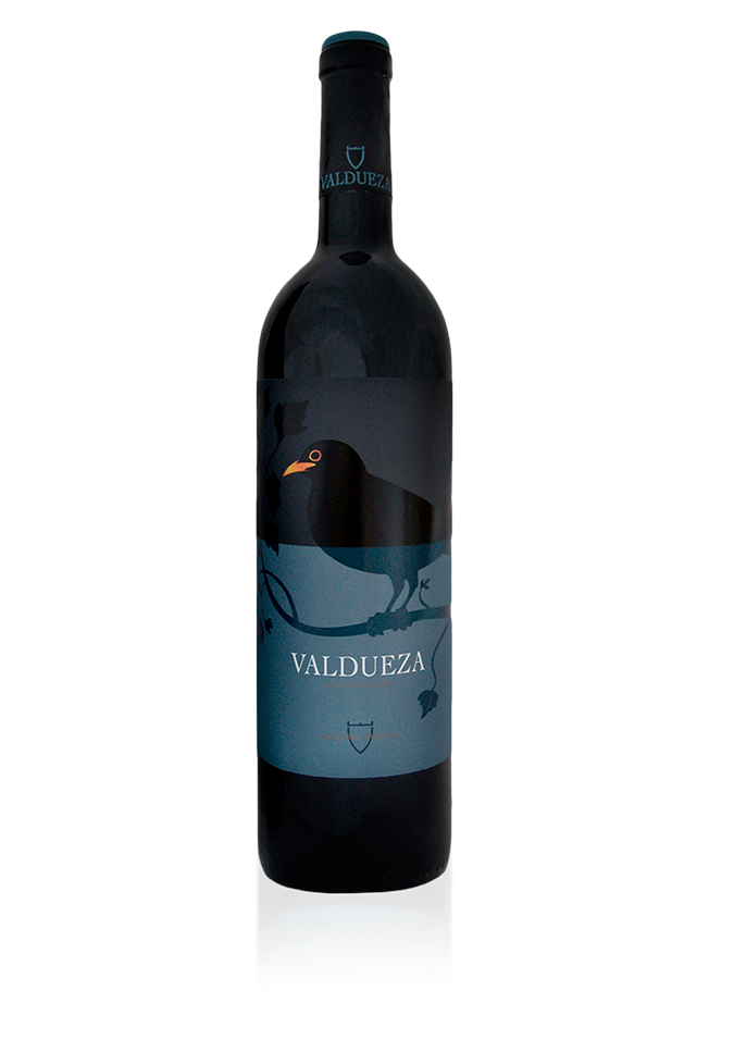 2019 | Marqués de Valdueza | El Canto De Los Pajaros Estate Bottled Spain at CaskCartel.com