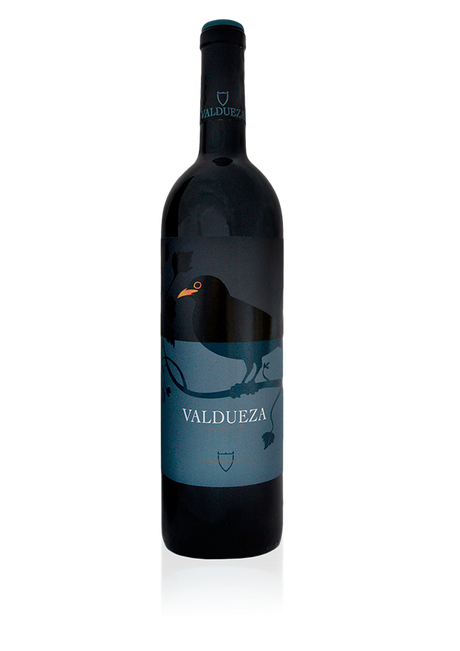 2019 | Marqués de Valdueza | El Canto De Los Pajaros Estate Bottled Spain at CaskCartel.com