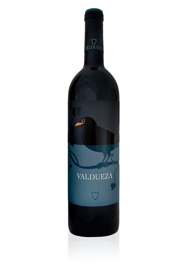 2019 | Marqués de Valdueza | El Canto De Los Pajaros Estate Bottled Spain at CaskCartel.com