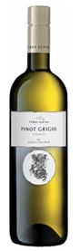 2020 | Terra Alpina | Pinot Grigio at CaskCartel.com