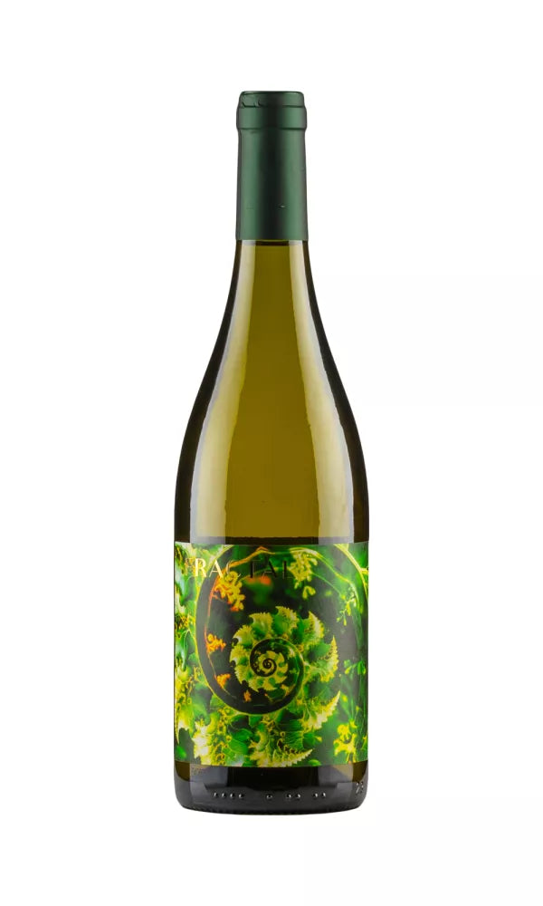 Fractal | Sequence 002 - NV at CaskCartel.com