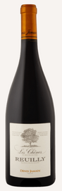 2020 | Denis Jamain | Domaine de Reuilly Rouge at CaskCartel.com