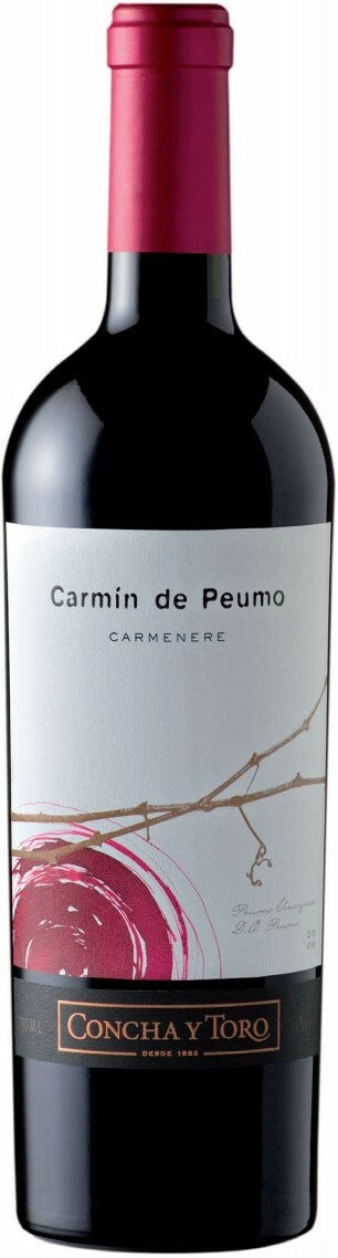 2013 | Concha y Toro | Carmin de Peumo at CaskCartel.com