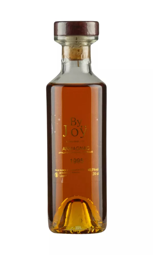 Domaine de Joy 1995 Vintage Armagnac | 200ML at CaskCartel.com