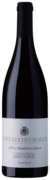 2019 | Clement & Florian Berthier | Coteaux du Giennois Pinot Noir at CaskCartel.com