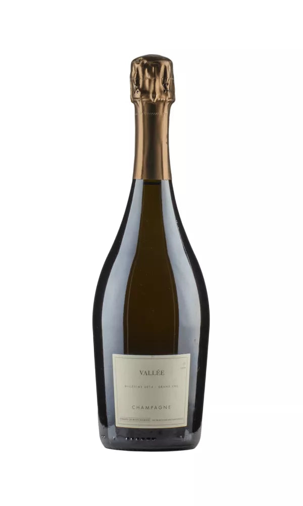 2014 | Domaine Les Monts Fournois | Vallee Brut Millesime at CaskCartel.com