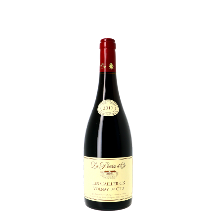 2017 | Domaine de La Pousse d'Or | Les Caillerets at CaskCartel.com