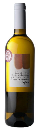 2022 | Magliocco | Chamoson Petite Arvine at CaskCartel.com