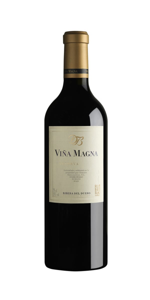 2014 | Dominio Basconcillos | Vina Magna Reserva at CaskCartel.com