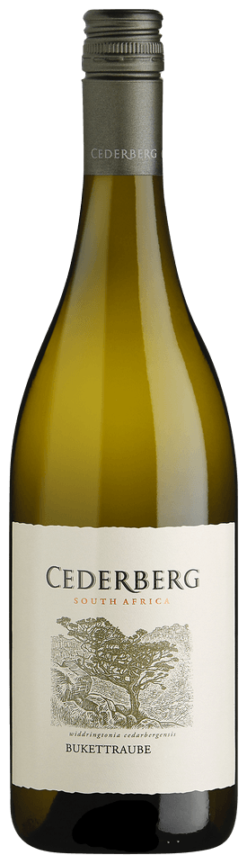 2022 | Cederberg | Bukettraube at CaskCartel.com