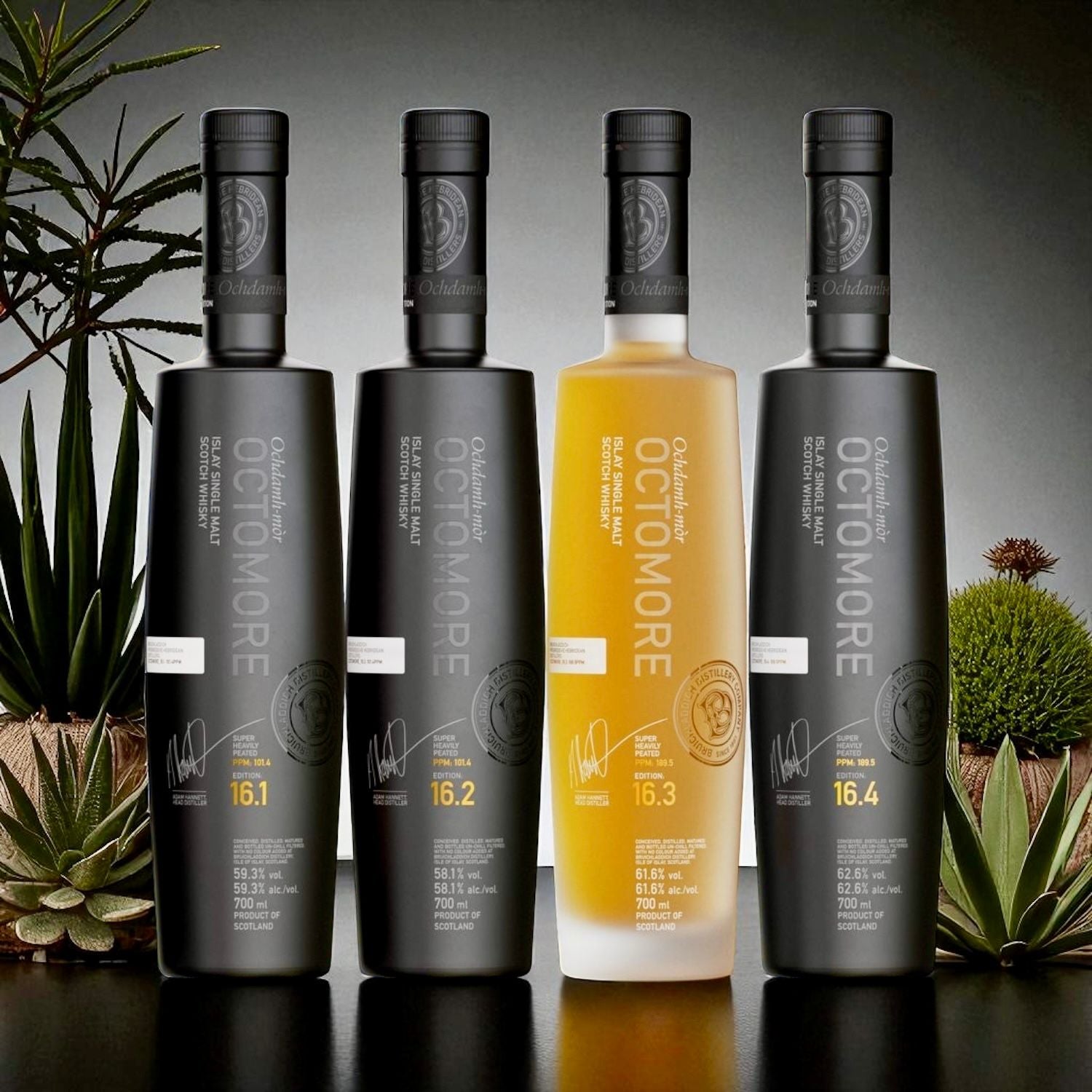BUY] Bruichladdich Octomore Series 16 | 2025 Limited Edition | (4