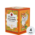 Tanqueray Sevilla Orange Gin & Soda Ready To Drink Cocktail | 4pk-12oz Cans at CaskCartel.com