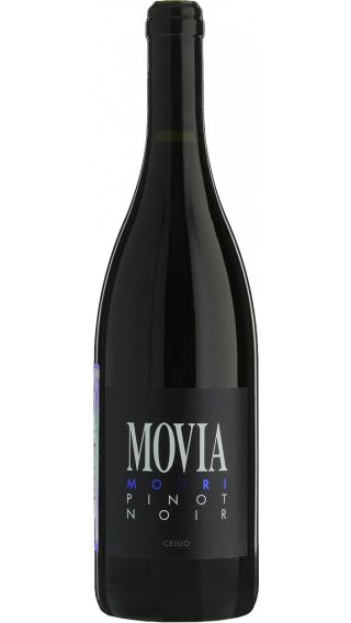 2013 | Movia | Modri Pinot Noir