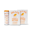 Volley Tropical Mango Spiked Seltzer | (2) Pack Bundle at CaskCartel.com