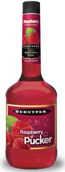 Dekuyper Pucker Raspberry Schnapps Liqueur - CaskCartel.com