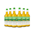 Saltwater Woody Grilled Pineapple American Grilled Pineapple Flavored Rum (6) Bottle Bundle at CaskCartel.com