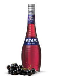 Bols Sloe Gin Liqueur | 1L at CaskCartel.com