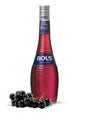 Bols Sloe Gin Liqueur | 1L at CaskCartel.com