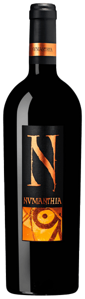 2004 | Bodega Numanthia | Termes at CaskCartel.com