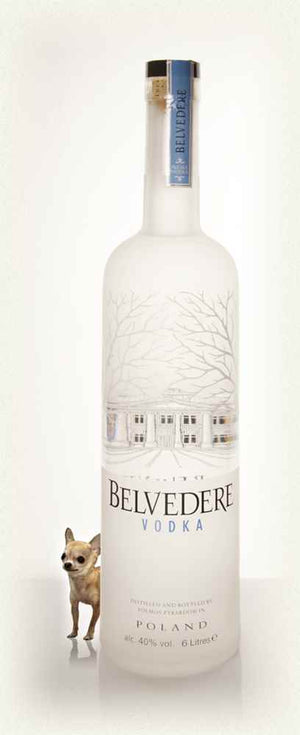 Belvedere Vodka with Light Vodka | 6L at CaskCartel.com