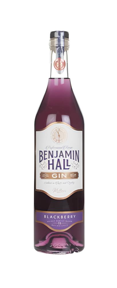 Benjamin Hall Blackberry Gin | 700ML at CaskCartel.com